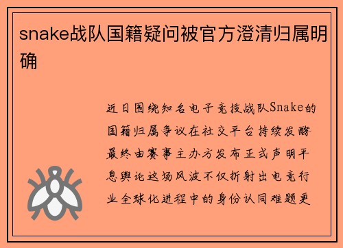 snake战队国籍疑问被官方澄清归属明确